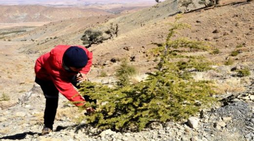 ميدلت :مشاركة ثانوية الأمير مولاي رشيد في مباراة الصحفيون الشباب من أجل البيئة*الصورة الفوتوغرافية*