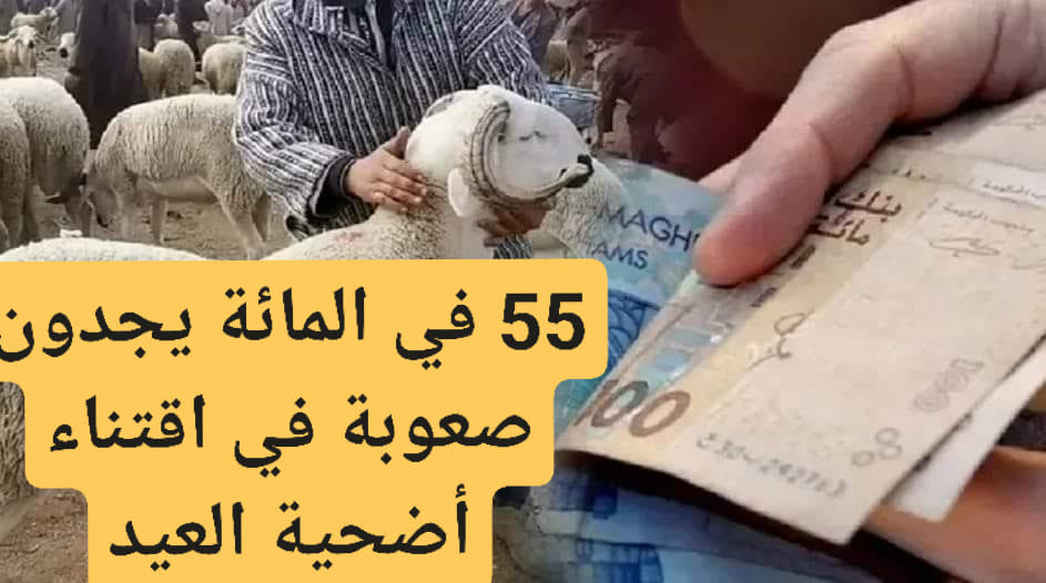 استطلاع: عكس الرواية الحكومية 55 في المائة من المغاربة يجدون صعوبة في توفير ثمن الأضحية.