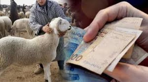 قلة العرض في رؤوس الأغنام،سبب الارتفاع المهول لأسعار الأضاحي رغم الاستيراد *تقرير*