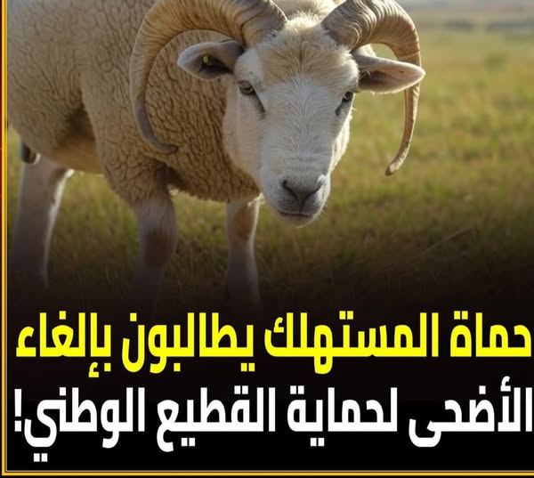 الاتحاد المغربي لحماية المستهلكين يدعو لإلغاء شعيرة الأضحية: الأسباب والتداعيات