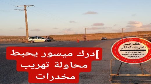 ميســــــور … الدرك الملكي يحبط تهريب كميـــات كبيـرة من المخـــدرات .
