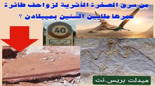 ميدلت – من سرق الصخرة الأثرية لزواحف طائرة عمرها ملايين السنين بميبلادن ؟